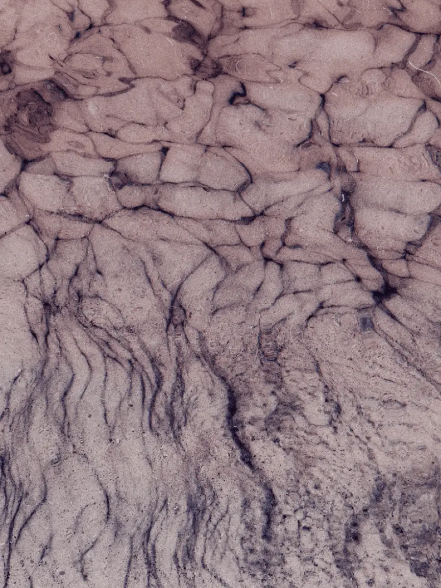 Topografía de lo descosido III